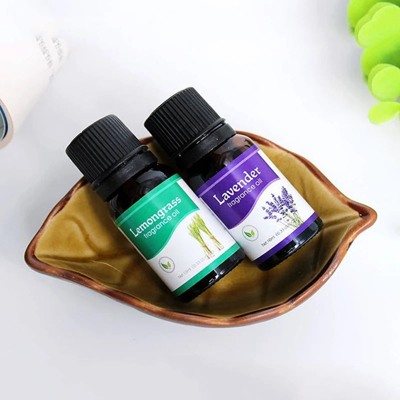 Premium Aromatherapy Essential Oils – Water-Soluble Diffuser Blend