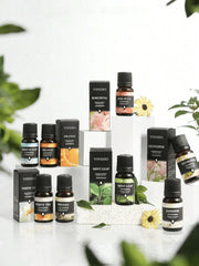 Essential Oils 14-Flavors Set – Water-Soluble for Aroma Diffusers