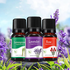 Premium Aromatherapy Essential Oils – Water-Soluble Diffuser Blend
