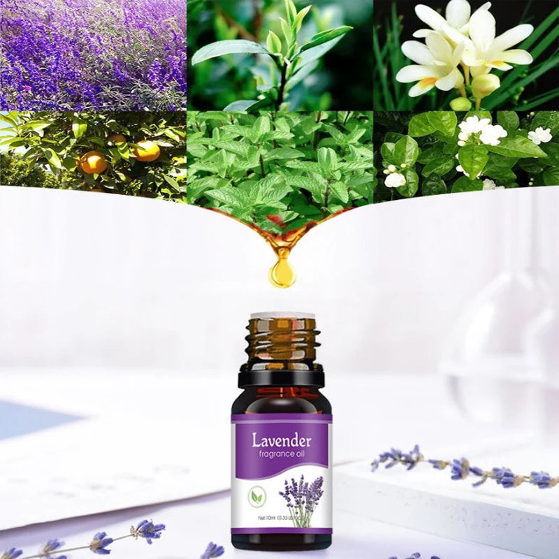 Premium Aromatherapy Essential Oils – Water-Soluble Diffuser Blend