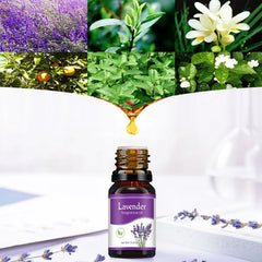 Premium Aromatherapy Essential Oils – Water-Soluble Diffuser Blend